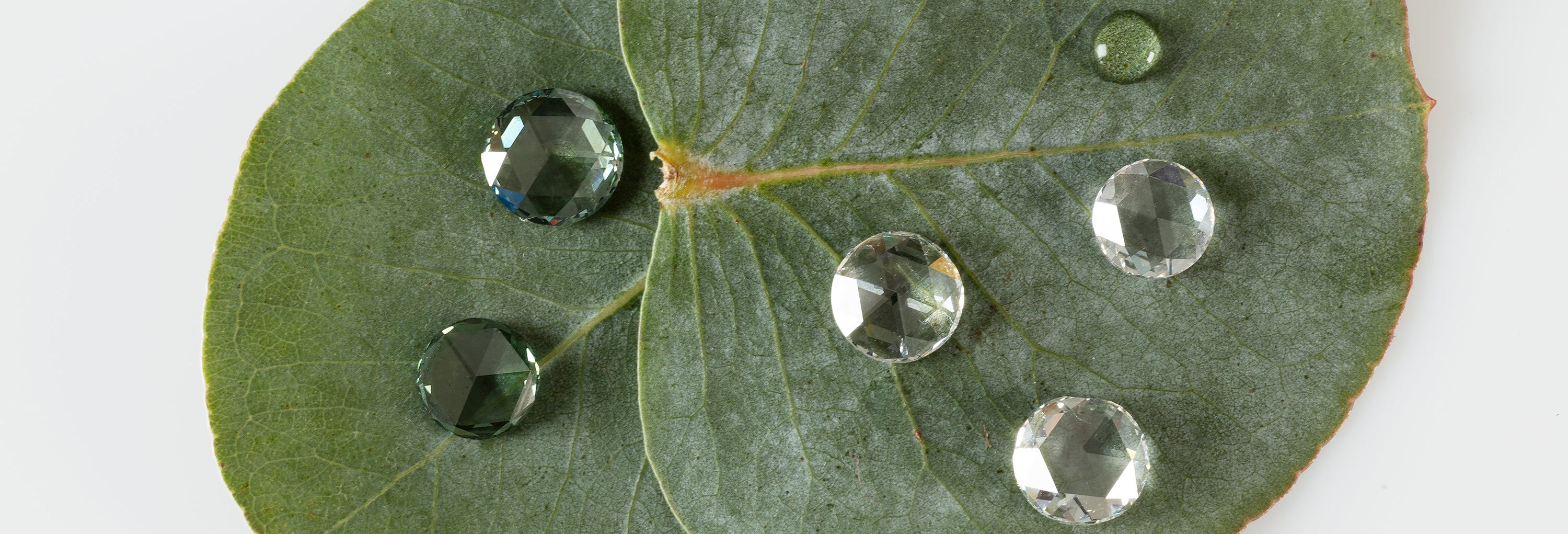 Diamants de laboratoire incolores dans toutes les formes. Exquisiste Lab Diamonds Paris