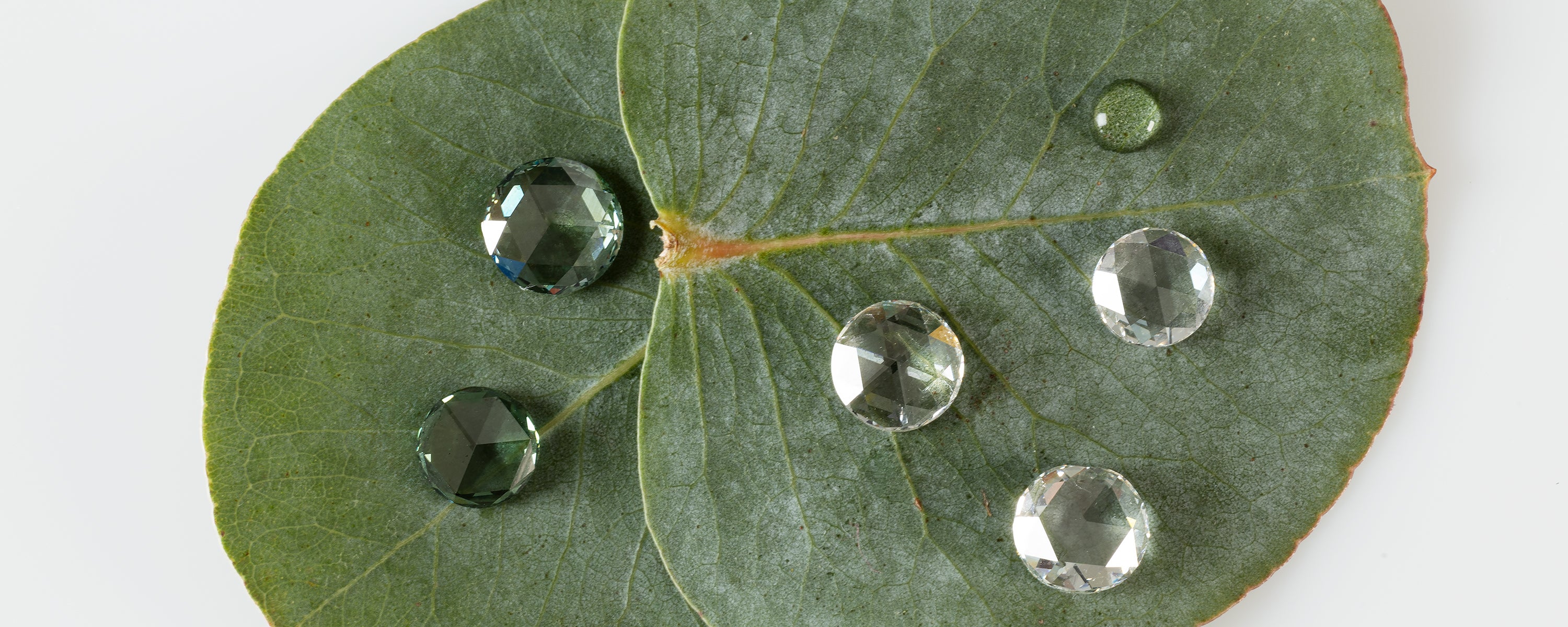 Diamants de laboratoire incolores dans toutes les formes. Maison Française Exquisiste Lab Diamonds