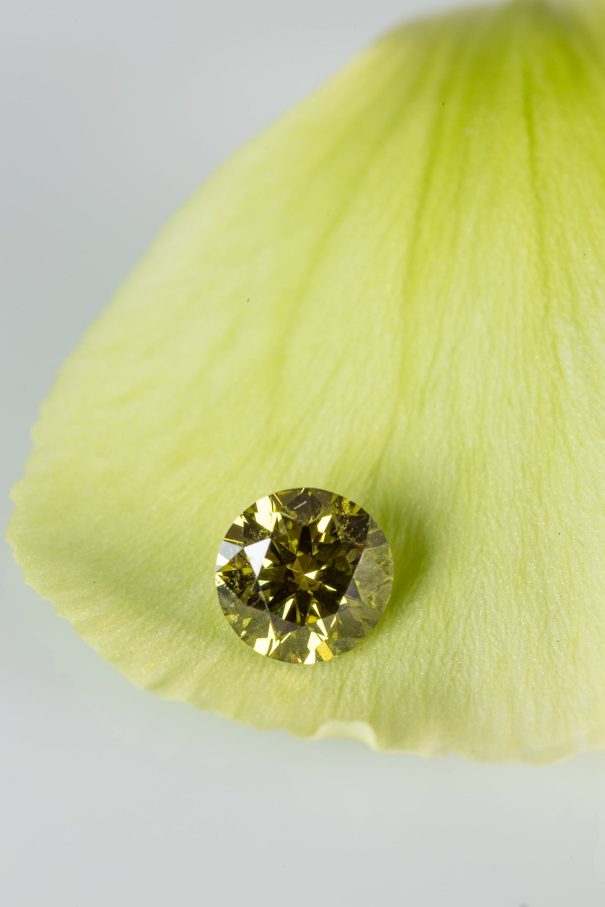 Diamant de laboratoire Fancy Color vivid green taille ronde brillante, posé sur un métal de fleur. Exquisite Lab Diamonds Paris.