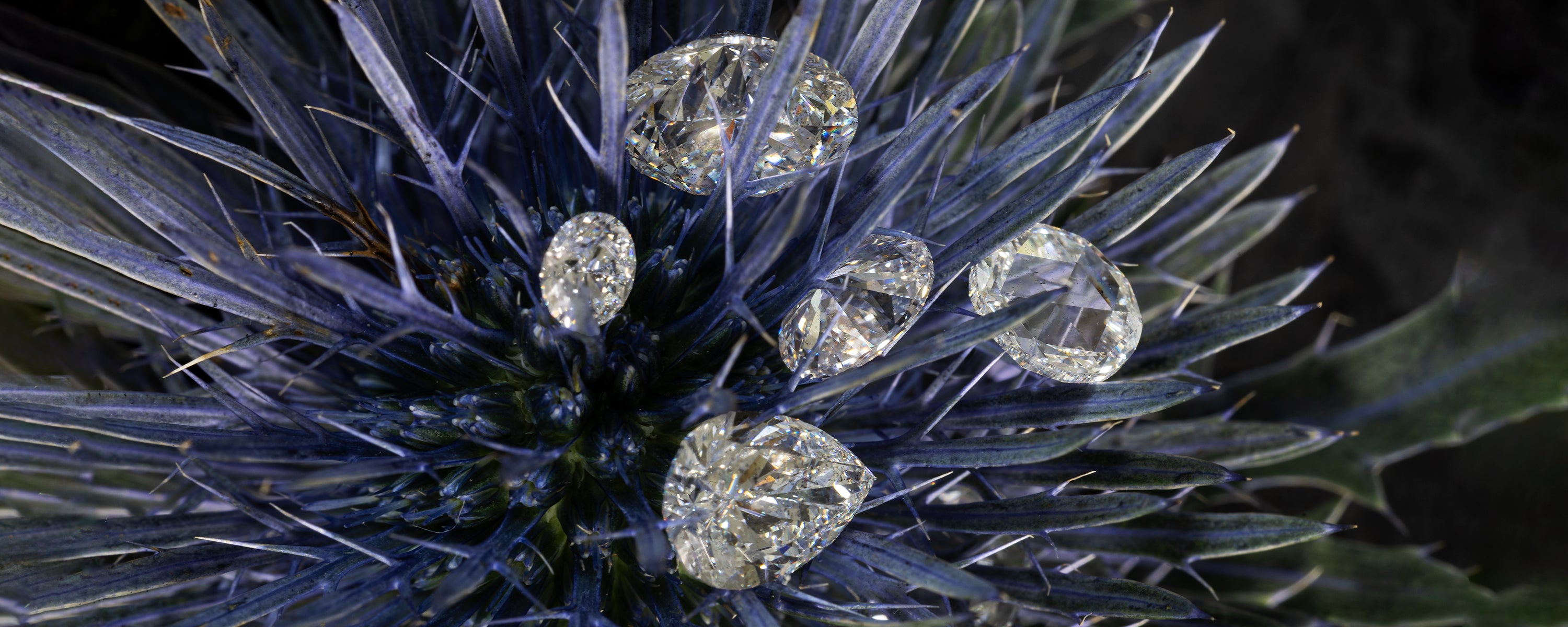 diamants de synthèse taille rose